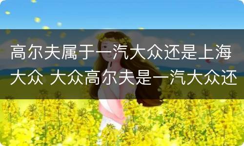 高尔夫属于一汽大众还是上海大众 大众高尔夫是一汽大众还是上海大众