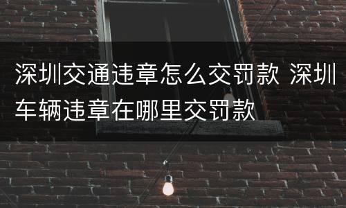 深圳交通违章怎么交罚款 深圳车辆违章在哪里交罚款