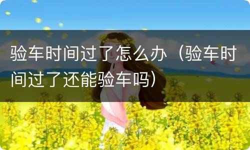 验车时间过了怎么办（验车时间过了还能验车吗）