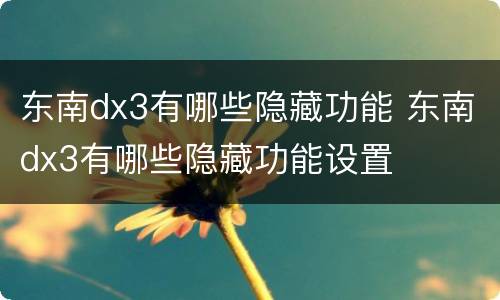 东南dx3有哪些隐藏功能 东南dx3有哪些隐藏功能设置