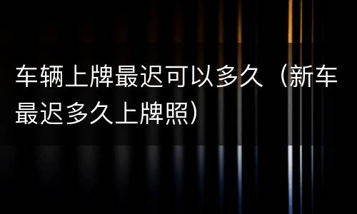 车辆上牌最迟可以多久（新车最迟多久上牌照）
