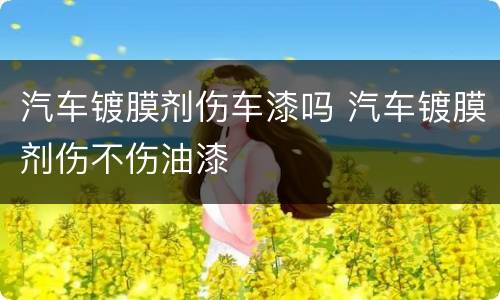 汽车镀膜剂伤车漆吗 汽车镀膜剂伤不伤油漆