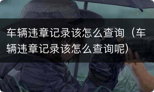 车辆违章记录该怎么查询（车辆违章记录该怎么查询呢）
