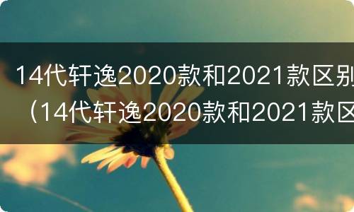 14代轩逸2020款和2021款区别（14代轩逸2020款和2021款区别外观）