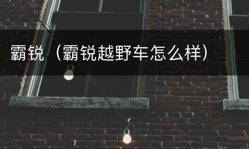 霸锐（霸锐越野车怎么样）