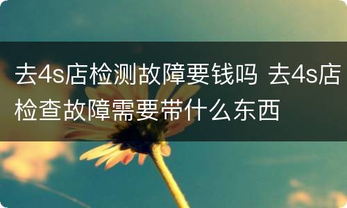去4s店检测故障要钱吗 去4s店检查故障需要带什么东西