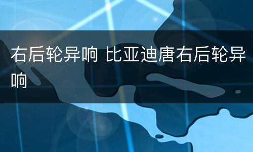 右后轮异响 比亚迪唐右后轮异响