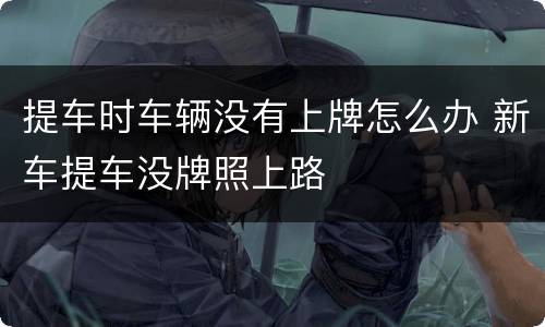 提车时车辆没有上牌怎么办 新车提车没牌照上路