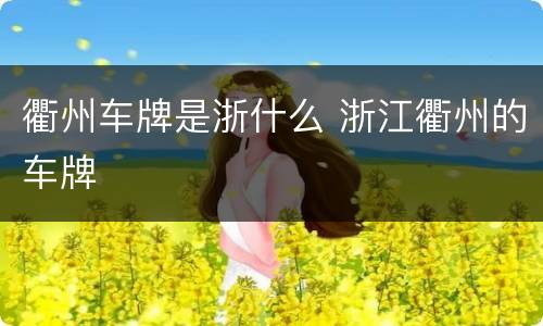 衢州车牌是浙什么 浙江衢州的车牌