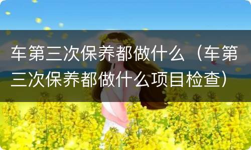 车第三次保养都做什么（车第三次保养都做什么项目检查）