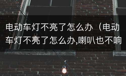 电动车灯不亮了怎么办（电动车灯不亮了怎么办,喇叭也不响）