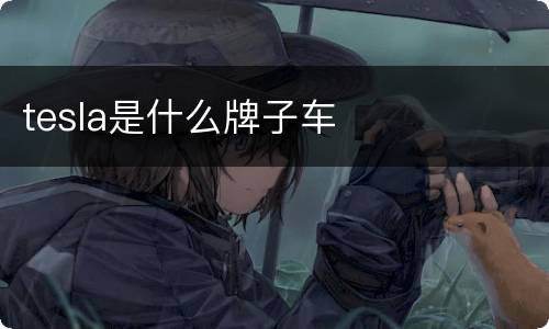tesla是什么牌子车
