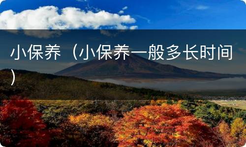小保养（小保养一般多长时间）