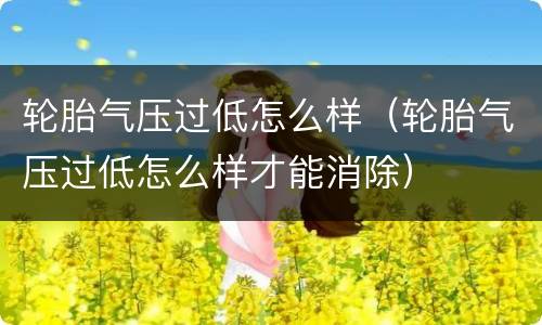 轮胎气压过低怎么样（轮胎气压过低怎么样才能消除）