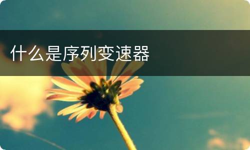什么是序列变速器