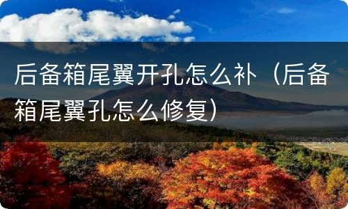 后备箱尾翼开孔怎么补（后备箱尾翼孔怎么修复）