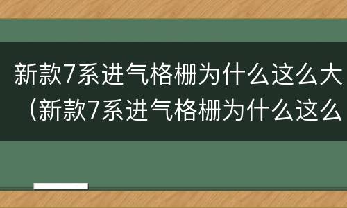 新款7系进气格栅为什么这么大（新款7系进气格栅为什么这么大呢）