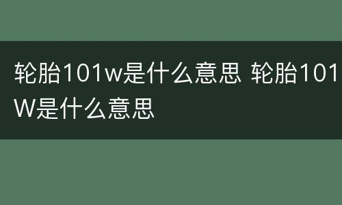 轮胎101w是什么意思 轮胎101W是什么意思