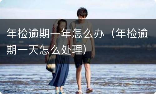 年检逾期一年怎么办（年检逾期一天怎么处理）