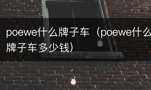 poewe什么牌子车（poewe什么牌子车多少钱）