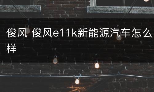 俊风 俊风e11k新能源汽车怎么样