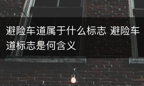 避险车道属于什么标志 避险车道标志是何含义