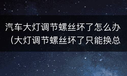 汽车大灯调节螺丝坏了怎么办（大灯调节螺丝坏了只能换总成了吗）