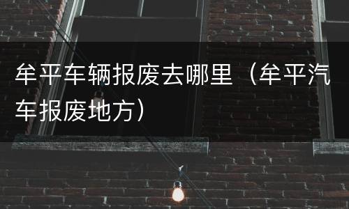 牟平车辆报废去哪里（牟平汽车报废地方）