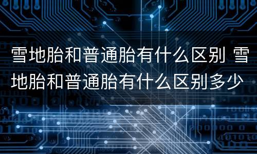 雪地胎和普通胎有什么区别 雪地胎和普通胎有什么区别多少钱