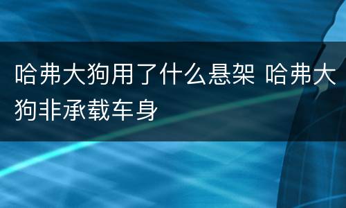 哈弗大狗用了什么悬架 哈弗大狗非承载车身