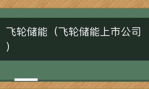 飞轮储能（飞轮储能上市公司）
