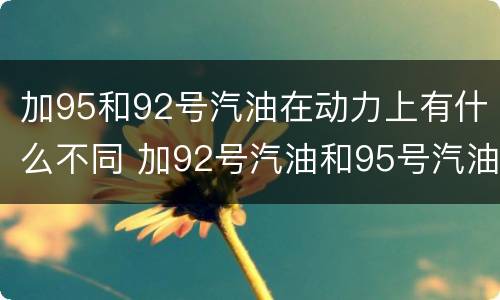 加95和92号汽油在动力上有什么不同 加92号汽油和95号汽油动力一样么