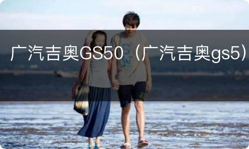 广汽吉奥GS50（广汽吉奥gs5）