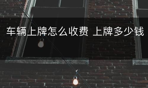 车辆上牌怎么收费 上牌多少钱