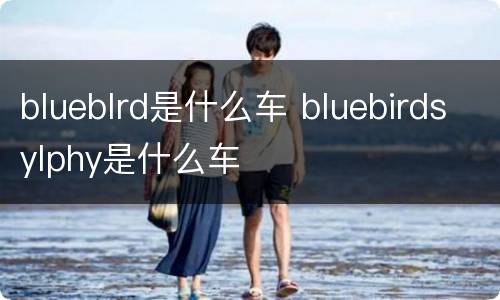blueblrd是什么车 bluebirdsylphy是什么车