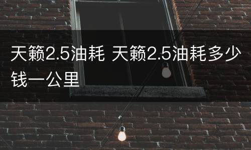 天籁2.5油耗 天籁2.5油耗多少钱一公里