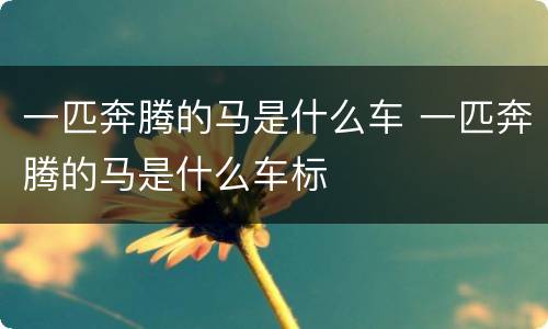 一匹奔腾的马是什么车 一匹奔腾的马是什么车标