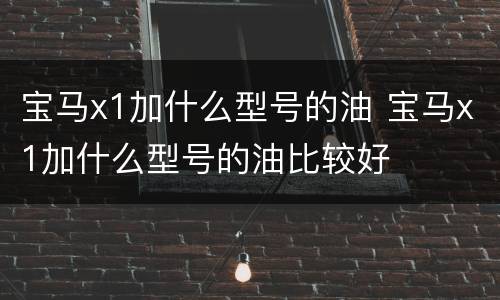 宝马x1加什么型号的油 宝马x1加什么型号的油比较好