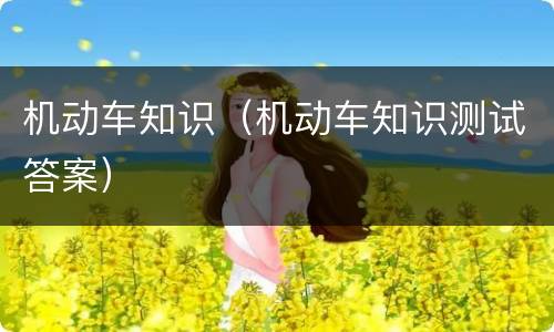 机动车知识（机动车知识测试答案）