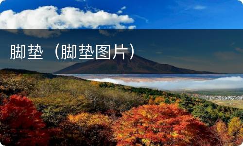 脚垫（脚垫图片）