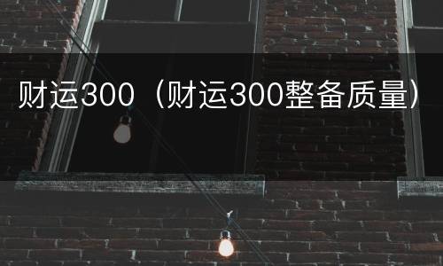 财运300（财运300整备质量）