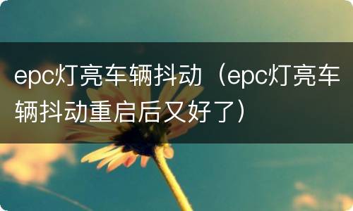 epc灯亮车辆抖动（epc灯亮车辆抖动重启后又好了）