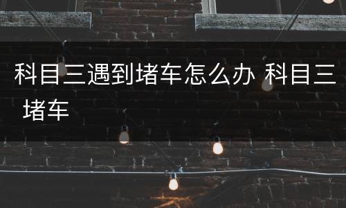 科目三遇到堵车怎么办 科目三 堵车