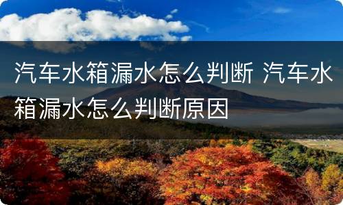 汽车水箱漏水怎么判断 汽车水箱漏水怎么判断原因