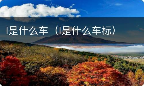 l是什么车（l是什么车标）