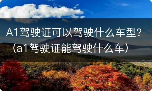 A1驾驶证可以驾驶什么车型？（a1驾驶证能驾驶什么车）