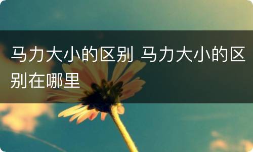 马力大小的区别 马力大小的区别在哪里