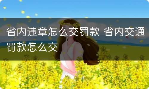 省内违章怎么交罚款 省内交通罚款怎么交
