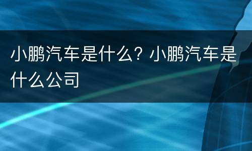 小鹏汽车是什么? 小鹏汽车是什么公司