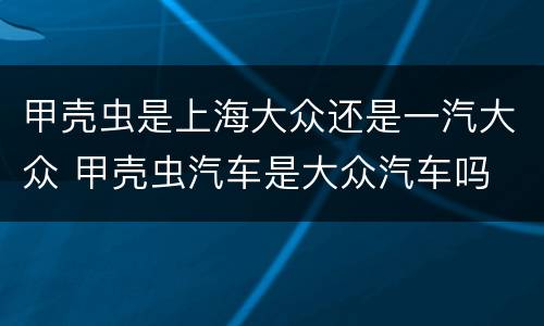 甲壳虫是上海大众还是一汽大众 甲壳虫汽车是大众汽车吗